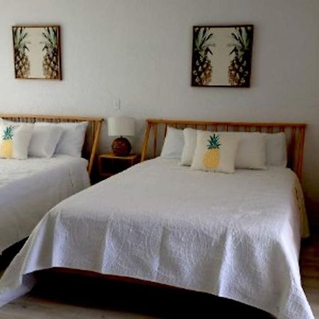 Pineapple Shores Inn Unit 1 Daytona Beach Extérieur photo